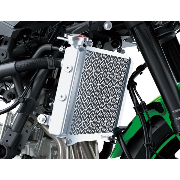 Kawasaki Radiator Screen